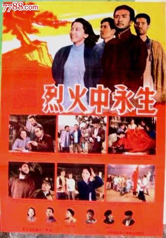瓦赫宁恩大学Computer Science Diploma